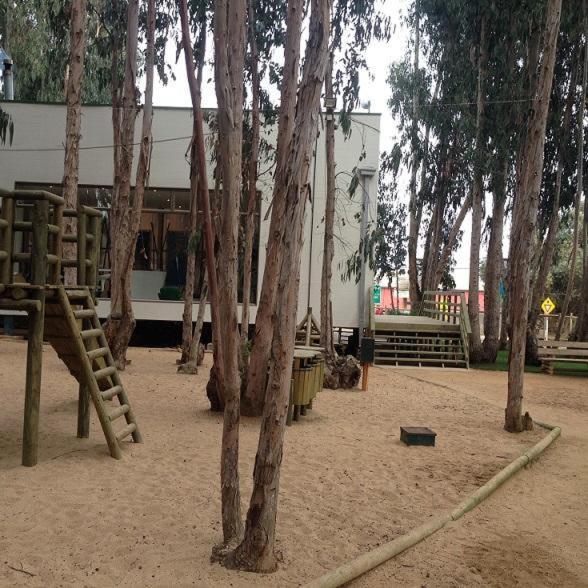 Departamento Norte * Algarrobo